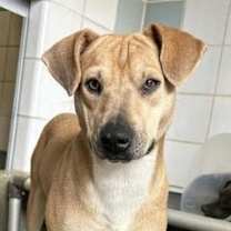 Thumbnail photo of Sunshine #3