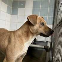 Thumbnail photo of Sunshine #4