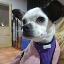 Thumbnail photo of KAREN #1