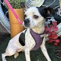 Thumbnail photo of KAREN #2