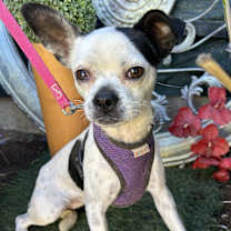 Thumbnail photo of KAREN #3