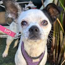 Thumbnail photo of KAREN #4