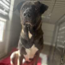 Thumbnail photo of Behr #2