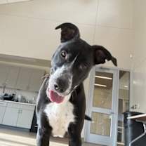 Thumbnail photo of Queenie - Call (402) 473-5377 To Meet Me! #2