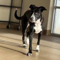 Thumbnail photo of Queenie - Call (402) 473-5377 To Meet Me! #3