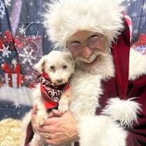 Thumbnail photo of Mr Sparky #2