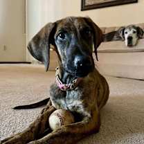 Thumbnail photo of Lottie #3