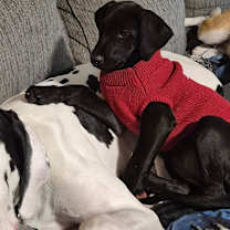 Thumbnail photo of Lettie #3