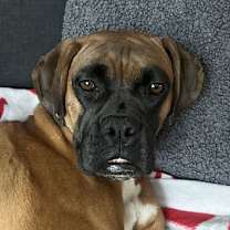 Thumbnail photo of Lorelai #4