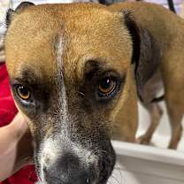 Thumbnail photo of Willa #2