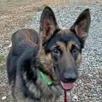 Thumbnail photo of Bonnie #2