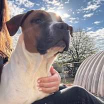 Thumbnail photo of Pillsbury #1