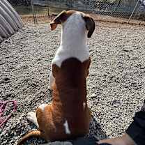 Thumbnail photo of Pillsbury #4