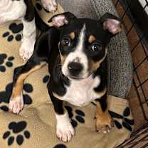 Thumbnail photo of Hope #3