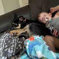 Thumbnail photo of Cujo #4