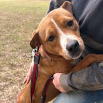 Thumbnail photo of Layla #1