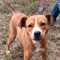 Thumbnail photo of Layla #2