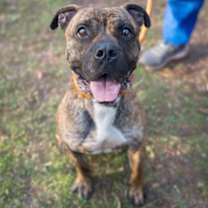 Thumbnail photo of Flynn #3