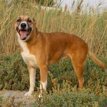 Thumbnail photo of Anna #3