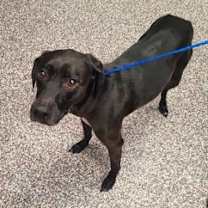 Thumbnail photo of Brady #3