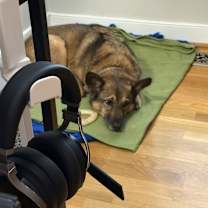 Thumbnail photo of Peanut #1