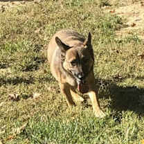 Thumbnail photo of Peanut #2