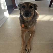 Thumbnail photo of Peanut #3