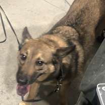 Thumbnail photo of Peanut #4