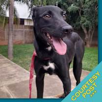 Thumbnail photo of Athenea (CP) #1