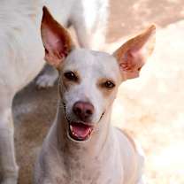 Thumbnail photo of Linda #1