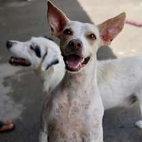 Thumbnail photo of Linda #3