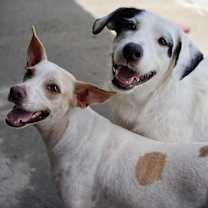 Thumbnail photo of Linda #4