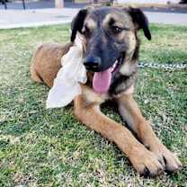 Thumbnail photo of Matilda (CP) #2