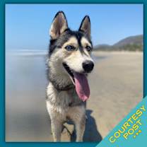 Thumbnail photo of Sora (CP) #1