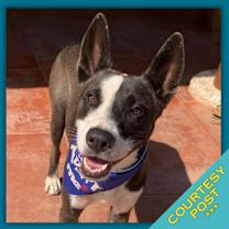 Thumbnail photo of Otis (CP) #1