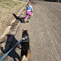 Thumbnail photo of Ollie #2