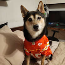 Thumbnail photo of Ollie #4