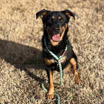 Thumbnail photo of Missy #4