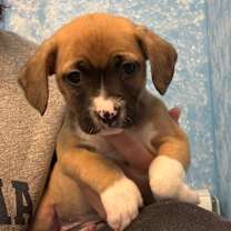 Thumbnail photo of Rayven #2