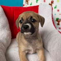 Thumbnail photo of Raylean #1