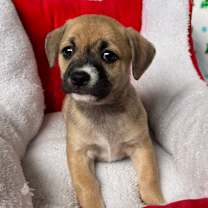 Thumbnail photo of Raylean #2