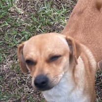 Thumbnail photo of Bart #2