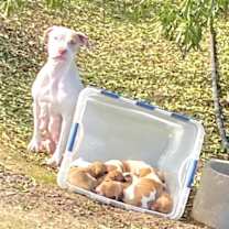 Thumbnail photo of Raylynn #4