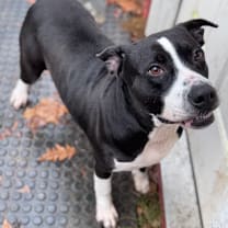 Thumbnail photo of Agatha #1