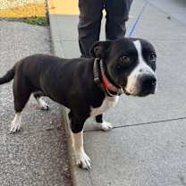 Thumbnail photo of Agatha #2