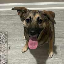 Thumbnail photo of Valley #1