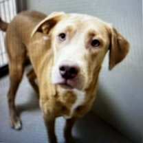 Thumbnail photo of Bailey 125763 #1