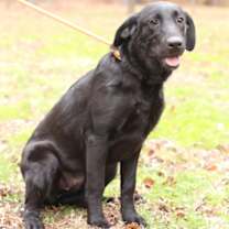 Thumbnail photo of Mable #2