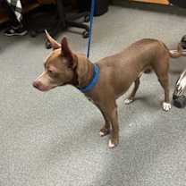 Thumbnail photo of Captain #3