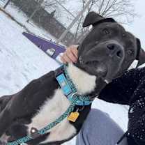 Thumbnail photo of Battenberg 37 #1